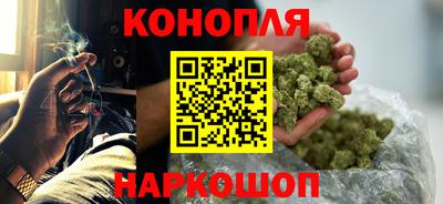 прущие грибы Кингисепп