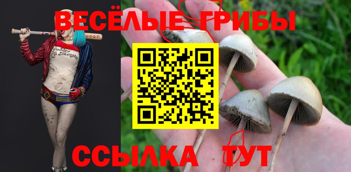 Кубинка  Псилоцибиновые грибы Cubensis  где найти   Вход с VPN 
