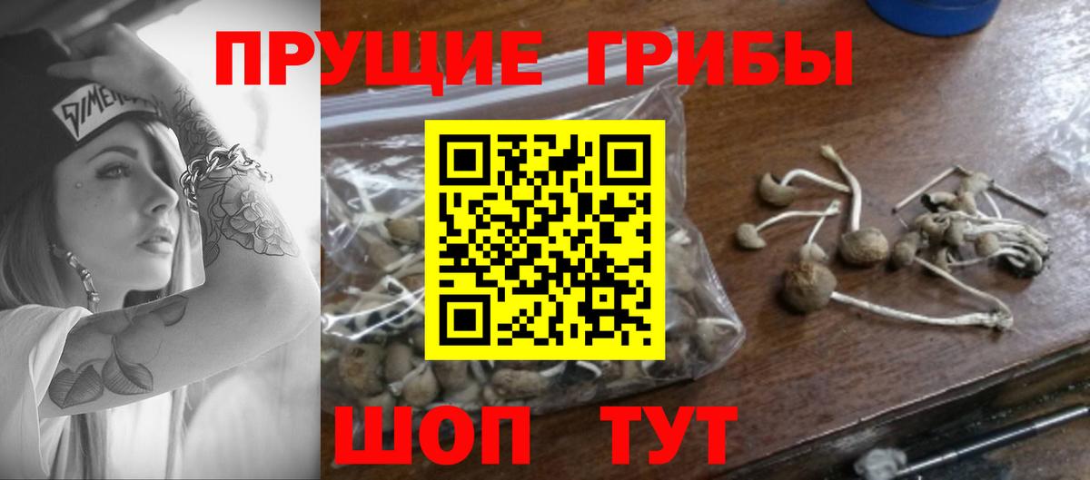 Галлюциногенные грибы Cubensis Кубинка